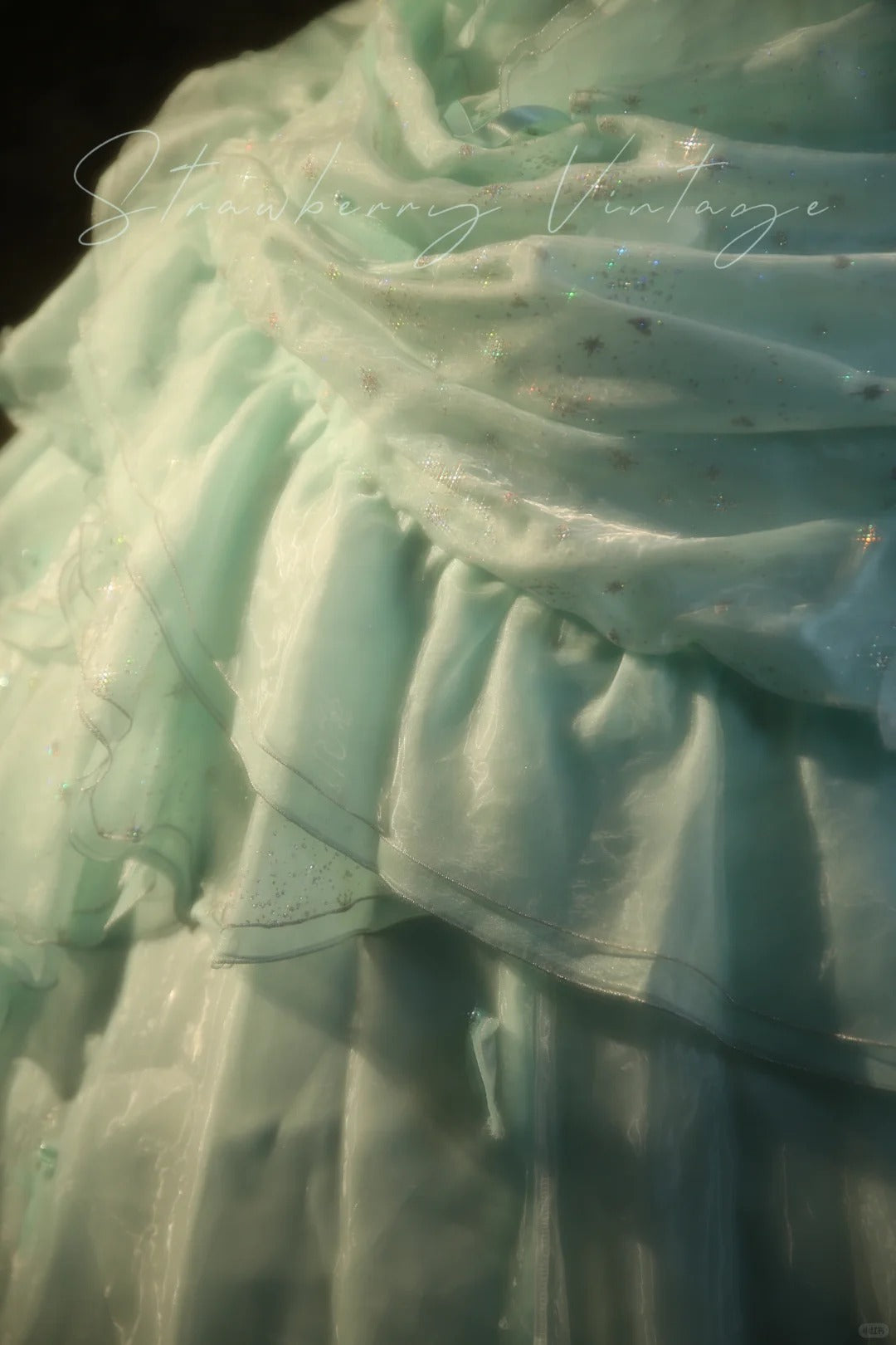 Mint Green Floral Long Tulle Vintage Ball Gown nv5037