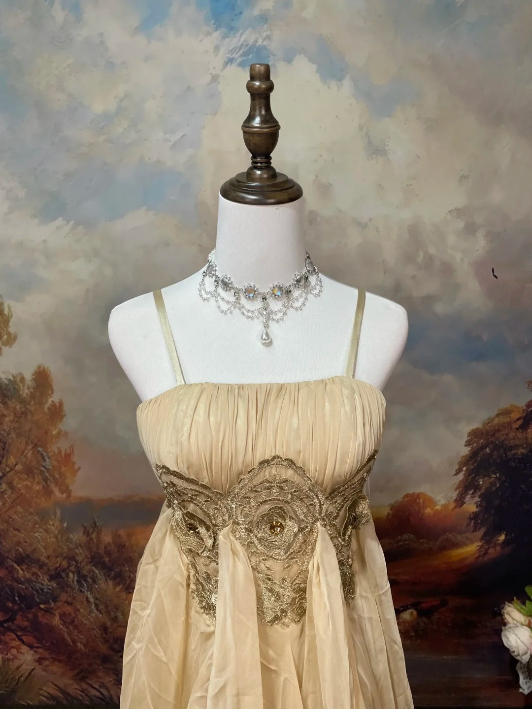 Champagne Brown Vintage Elegant Retro Fashion Romantic Exquisite Lace Floor Length Tulle Ball Gown Evening Gown Prom Gown nv4078