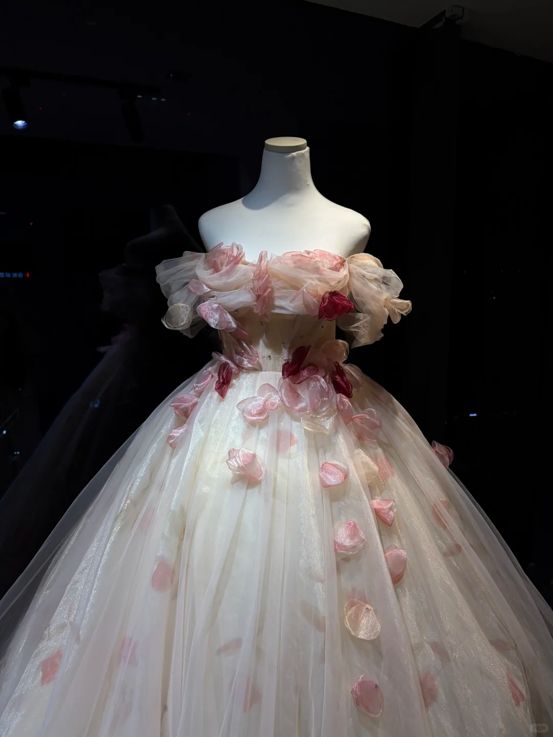 Off Shoulder Ivory Prom Dress 3D Pink Petal Floral Appliques Glitter Tulle Ball Gown  NV7046