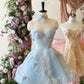 Blue/Pink Beaded Short Tulle Homecoming Dress Party Dress nv4858