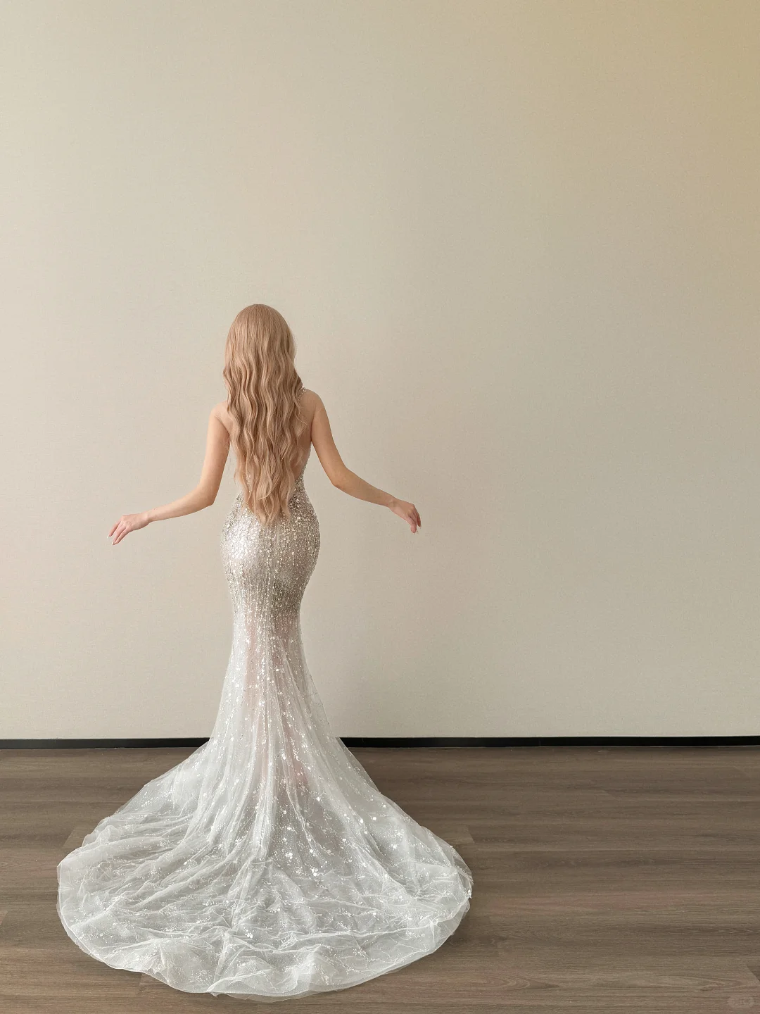 Halter Sweetheart Sheer Mermaid Wedding Dress Beaded Tassel Tulle Train  NV7141