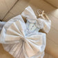 Exquisite short chiffon homecoming dress birthday party dress nv5306