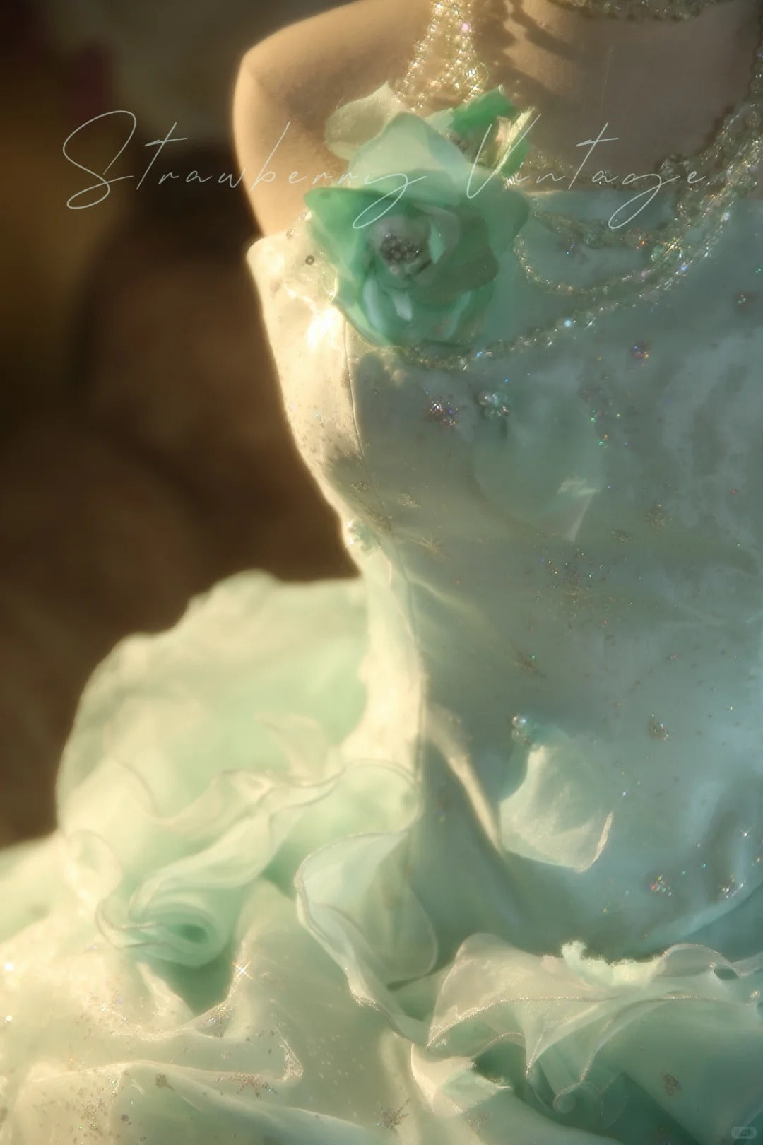 Mintgrünes, langes Vintage-Ballkleid aus Tüll mit Blumenmuster, nv5037