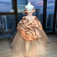 Off Shoulder Blush Pink Vintage Ball Gown 3D Rose Floral Satin Tulle Long Prom Dress  NV7026