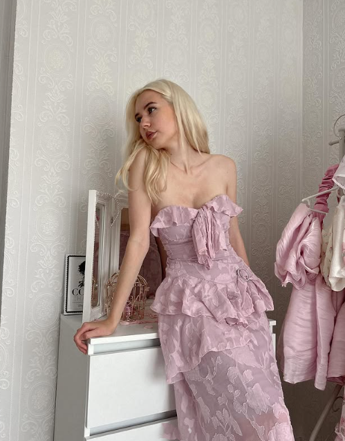 Pink Fashion Elegant Exquisite Lace Long Prom Dress Evening Dress Party Dress nv3524