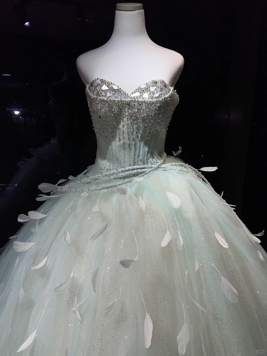 Mint Green Sparkly Tulle Ball Gown Strapless Feather Rhinestone Long Prom Dress  NV7082