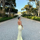 Yellow Fashion Elegant V-neck Mermaid Tulle Sequin Long Prom Dress Evening Gown Party Dress nv2441