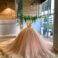 Warm Apricot Garden Strapless Lace Ball Gown Evening Dress NV6564