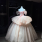 Light Pink Off Shoulder Tulle Ball Gown, Puff Sleeve Corset Dress with 3D Flowers  NV7084