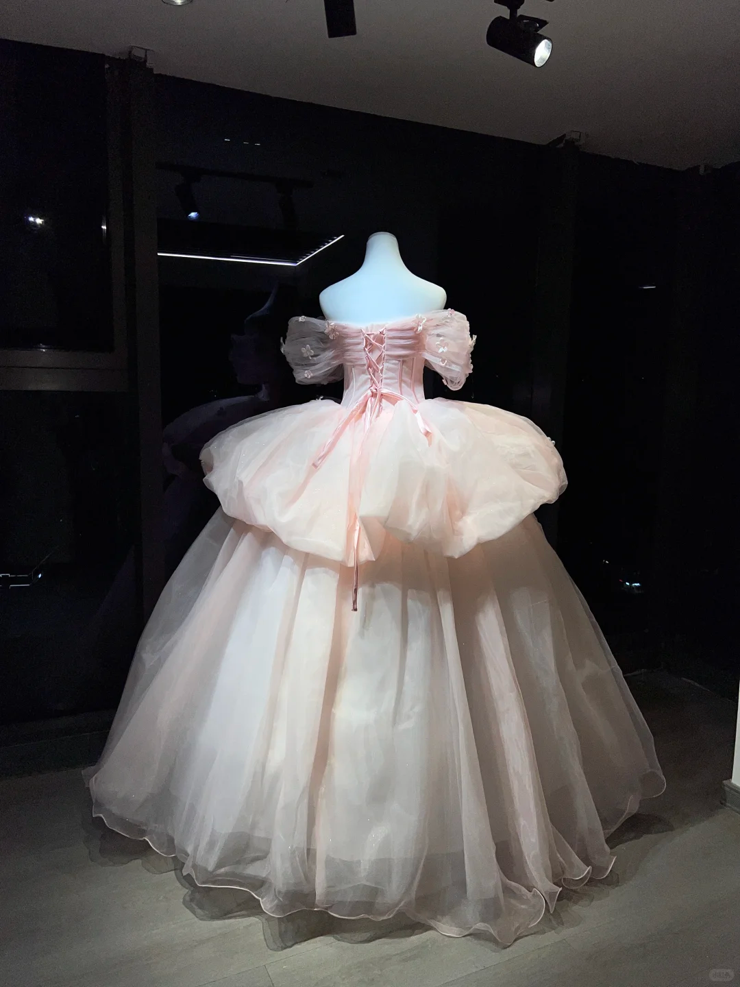 Light Pink Off Shoulder Tulle Ball Gown, Puff Sleeve Corset Dress with 3D Flowers  NV7084