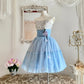 Blue sweet and cute Tutu dress with a purple flower around the waist, A-line skirt, mid-length/short prom dress, evening dress, adult ceremony dress, birthday dress, prom dress nv4097